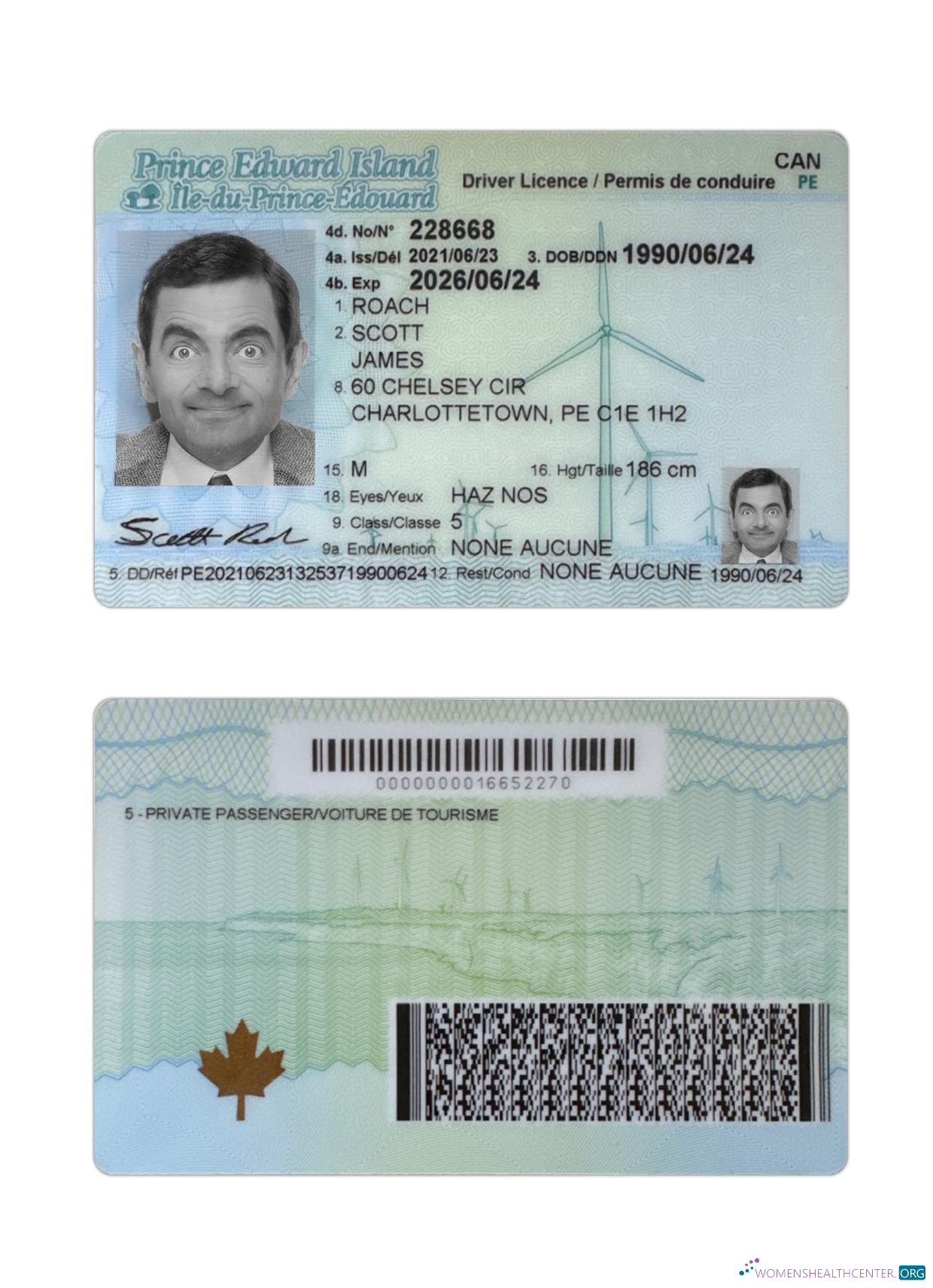 download Canada Prince Edward Island driving license